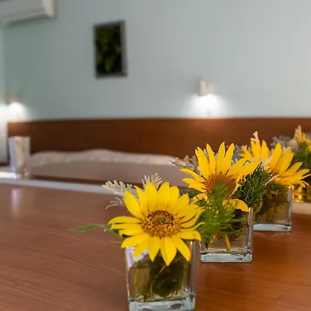 In Trakia Plaza Apartman