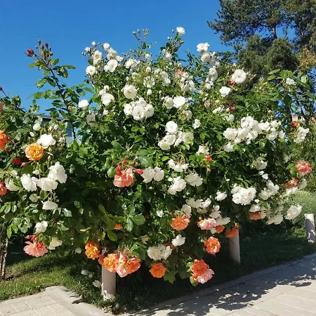 Appartement In Trakia Plaza *