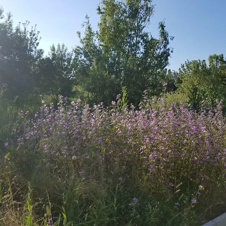 In Trakia Plaza Appartement